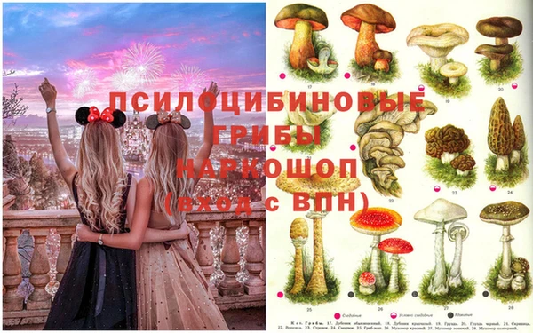 круглые Аркадак