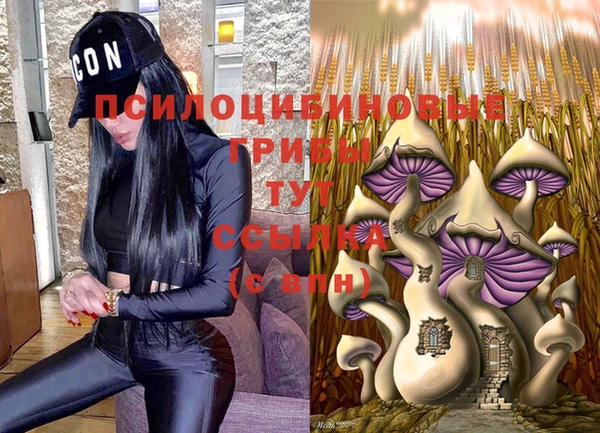 круглые Аркадак
