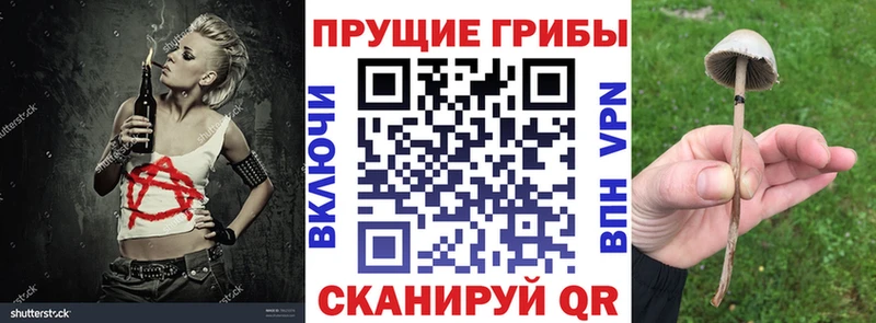 Галлюциногенные грибы прущие грибы  Баймак 